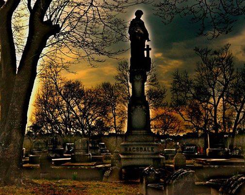 Rose Hill Company of Storytellers project image